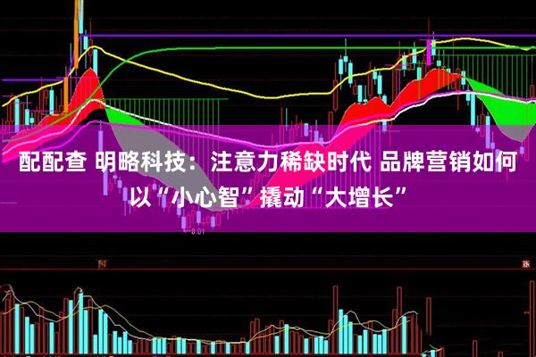 配配查 明略科技：注意力稀缺时代 品牌营销如何以“小心智”撬动“大增长”