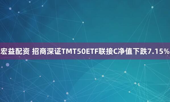 宏益配资 招商深证TMT50ETF联接C净值下跌7.15%